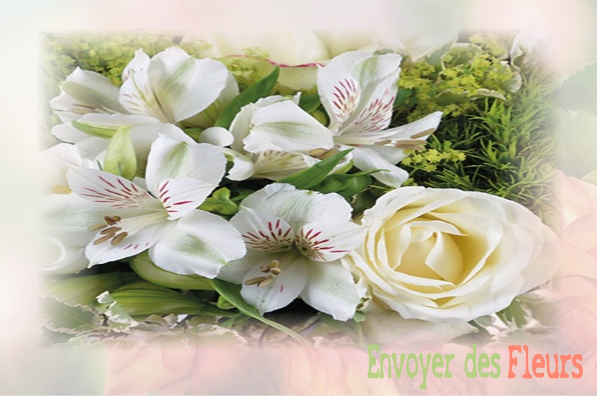 envoyer des fleurs à à DOMPIERRE-SUR-VEYLE