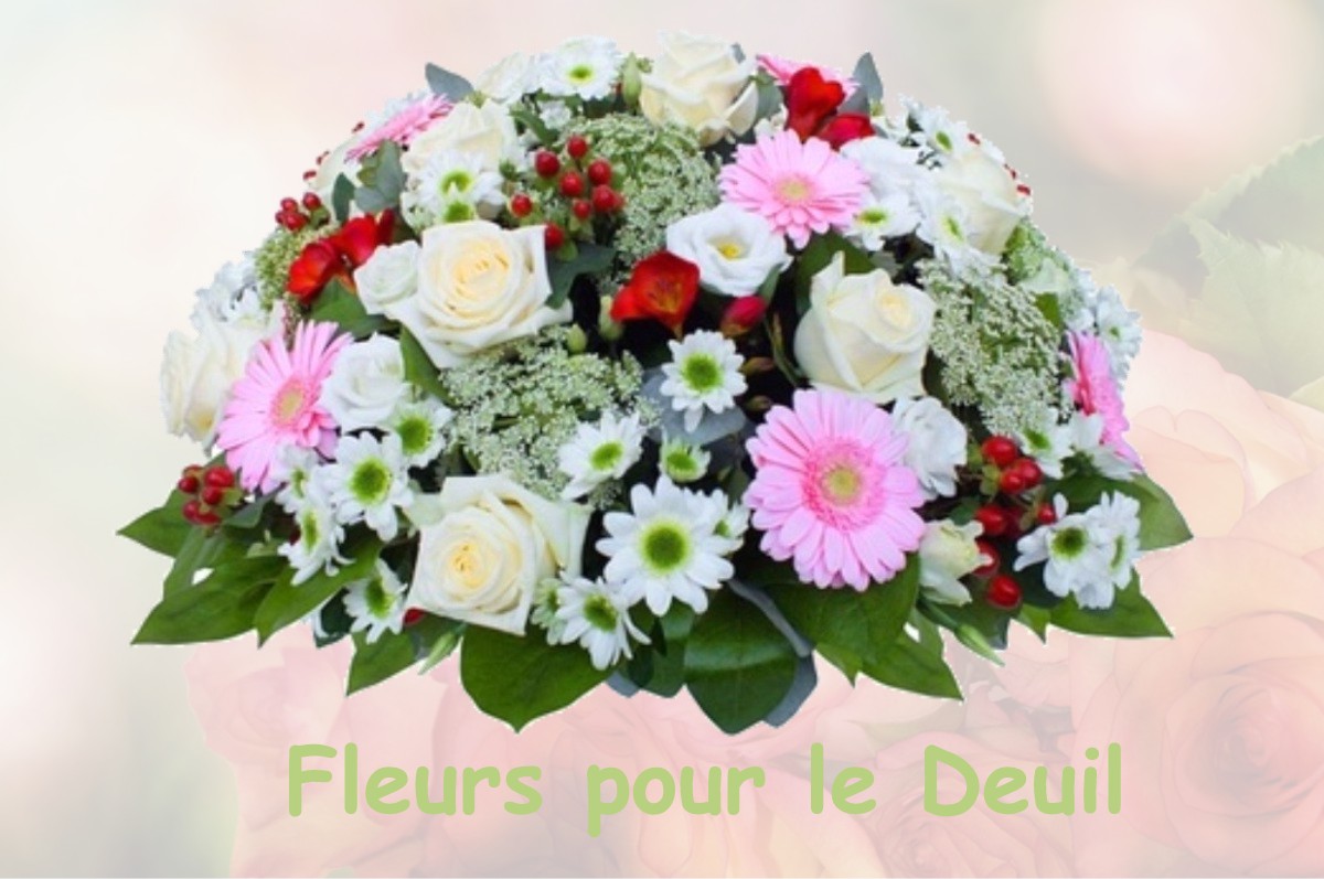 fleurs deuil DOMPIERRE-SUR-VEYLE